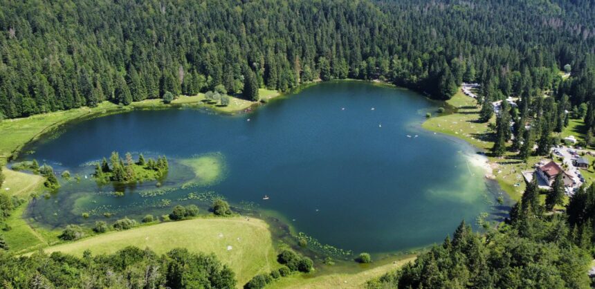 Lac Genin