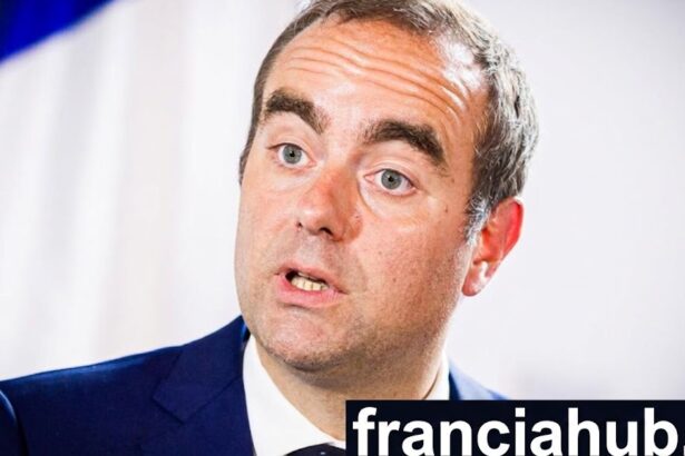 Darmanin Lecornu couple